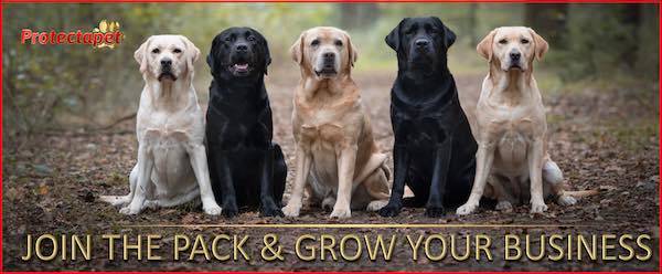 Pack of dogs waiting patiently for agents to join the Protectapet affiliate program.